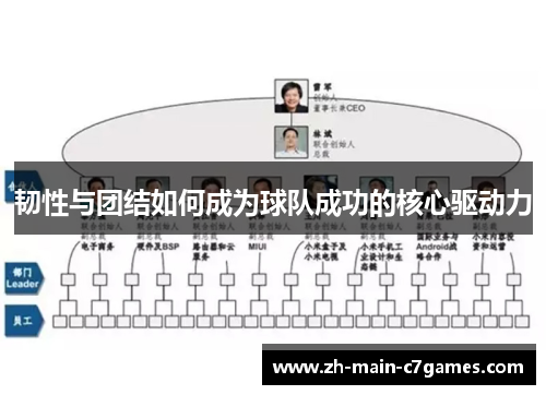 韧性与团结如何成为球队成功的核心驱动力 韧性与团结如何成为球队成功的核心驱动力